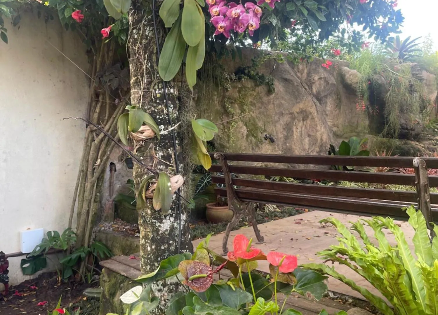 ** Inn Pousada Bon Vivant Cabo Frio Brazil