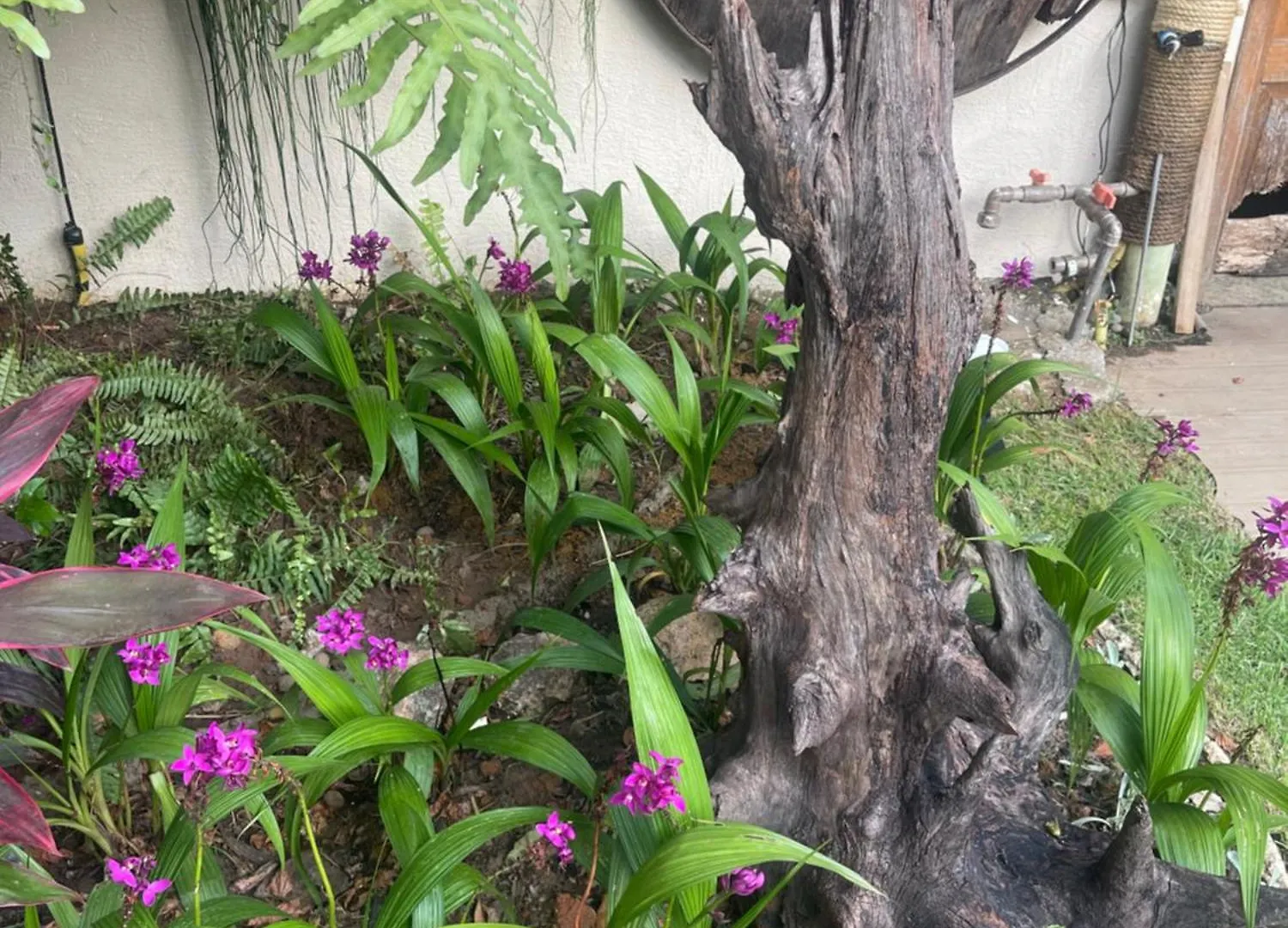 Fogadó Pousada Bon Vivant Cabo Frio