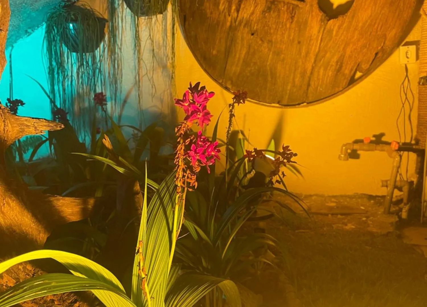 Pousada Bon Vivant Cabo Frio Brazília